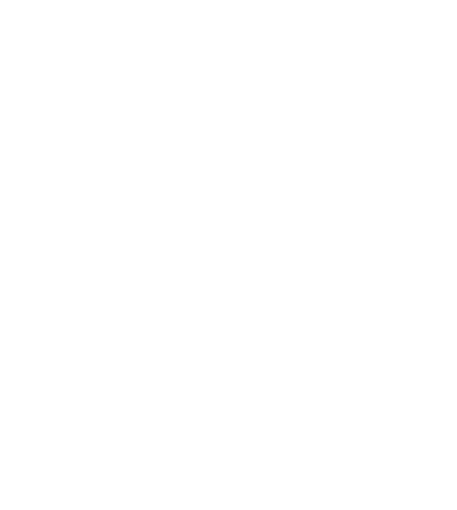 BEHRMAN CONSULTING